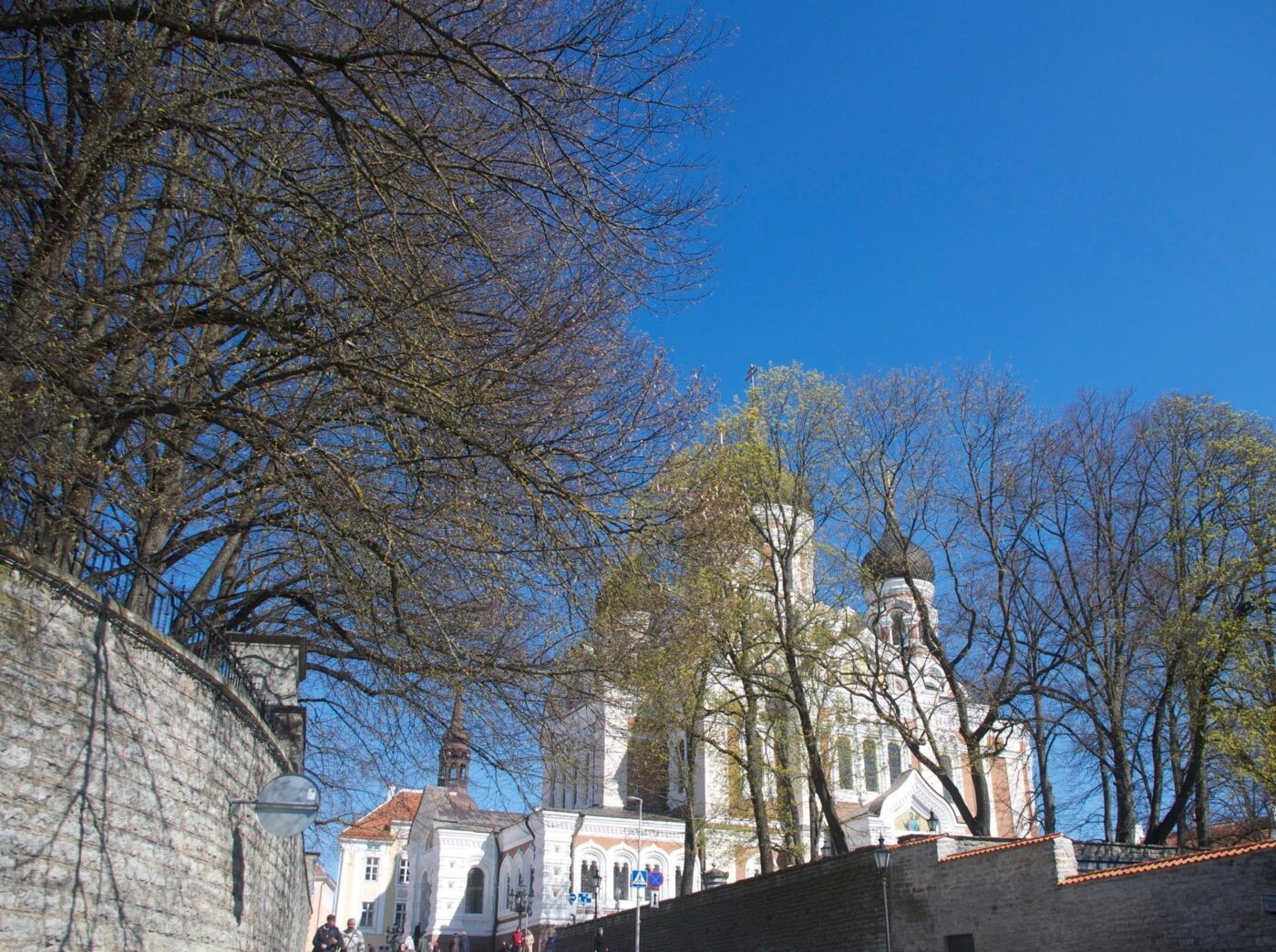 Таллинский Александро-Невский кафедральный собор