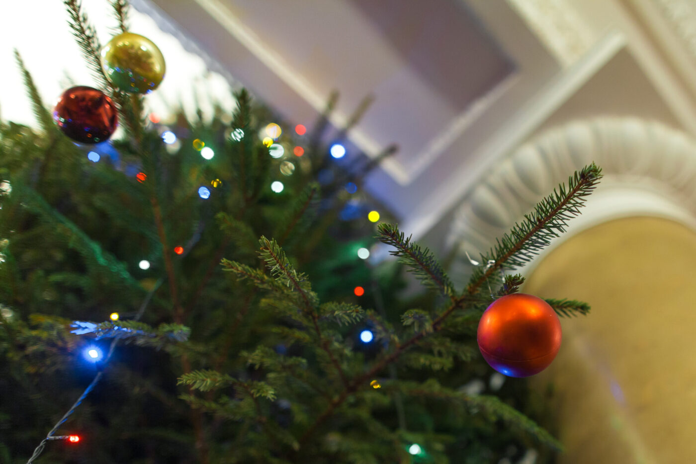 Рождественская ель в Центре русской культуры. Фото: Елена Соколова