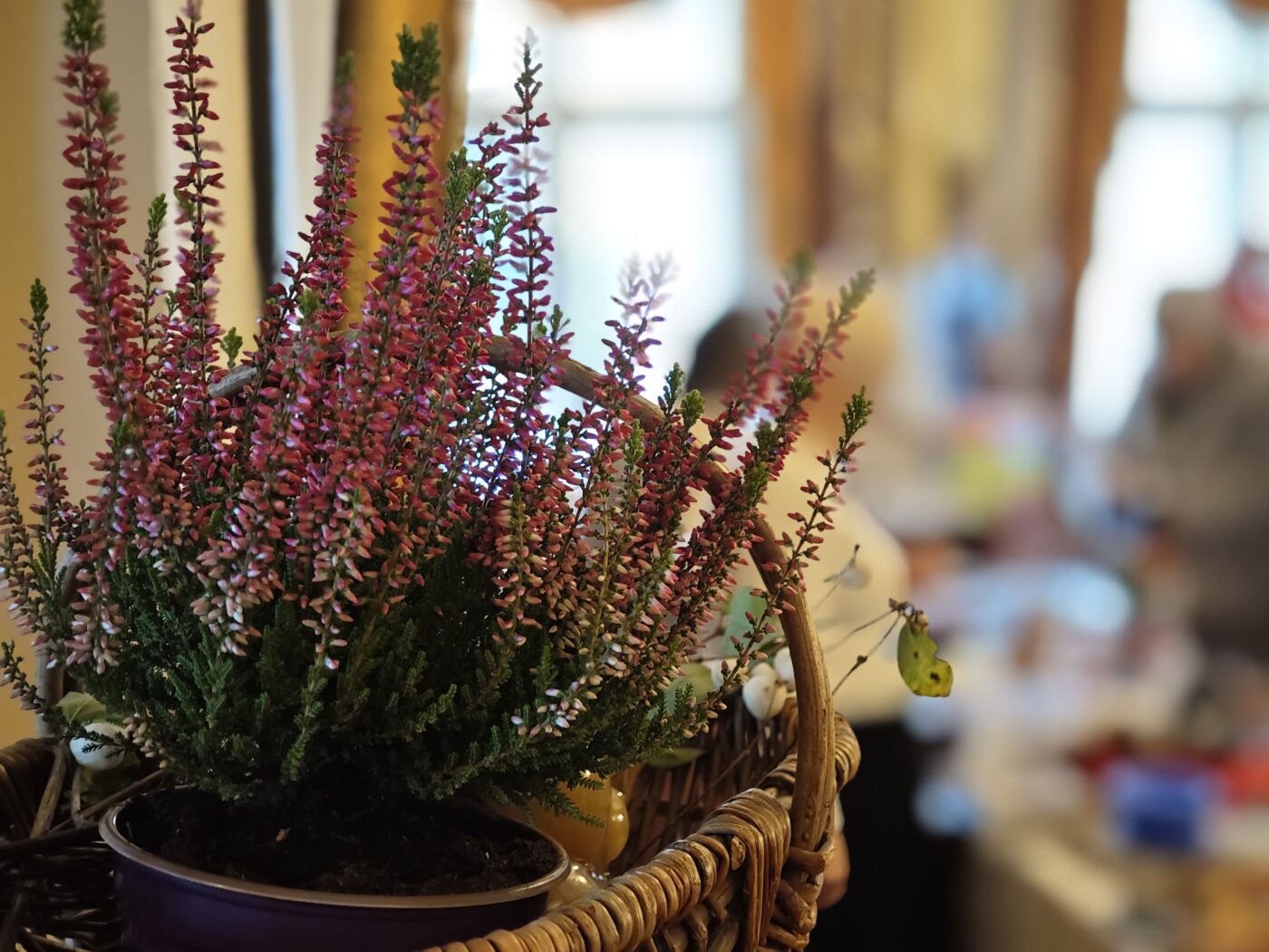 Покровская ярмарка_заставка