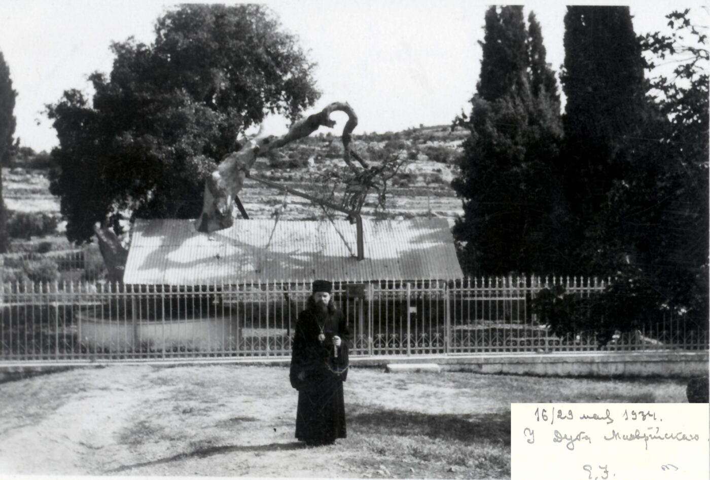 У дуба Мамврийского 29.05.1934